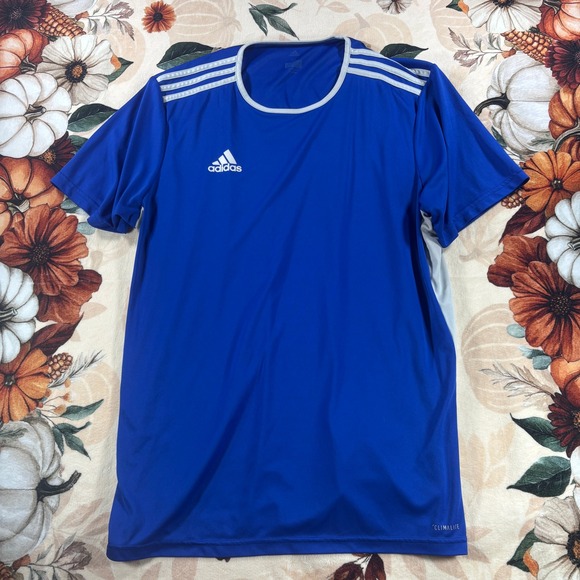 adidas Other - Adidas Entrada 18 Mens Jersey Royal Blue Shoulder Stripes Climalite Size XL